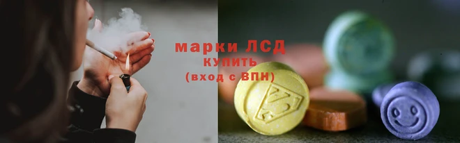 гидропоника Новозыбков