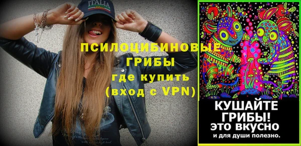 гидропоника Новозыбков