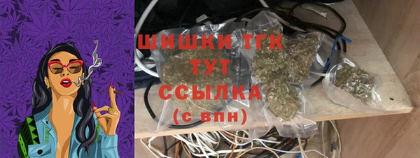 гидропоника Новозыбков