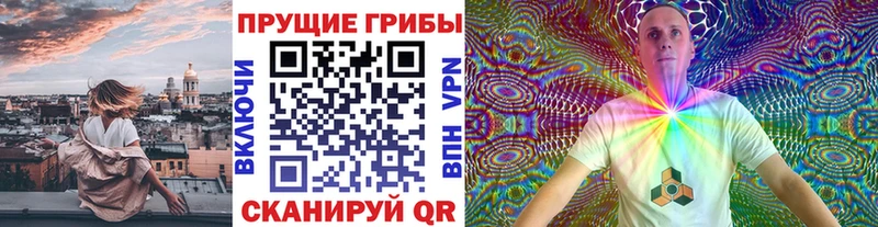 ОМГ ОМГ маркетплейс Качканар Псилоцибиновые грибы Cubensis