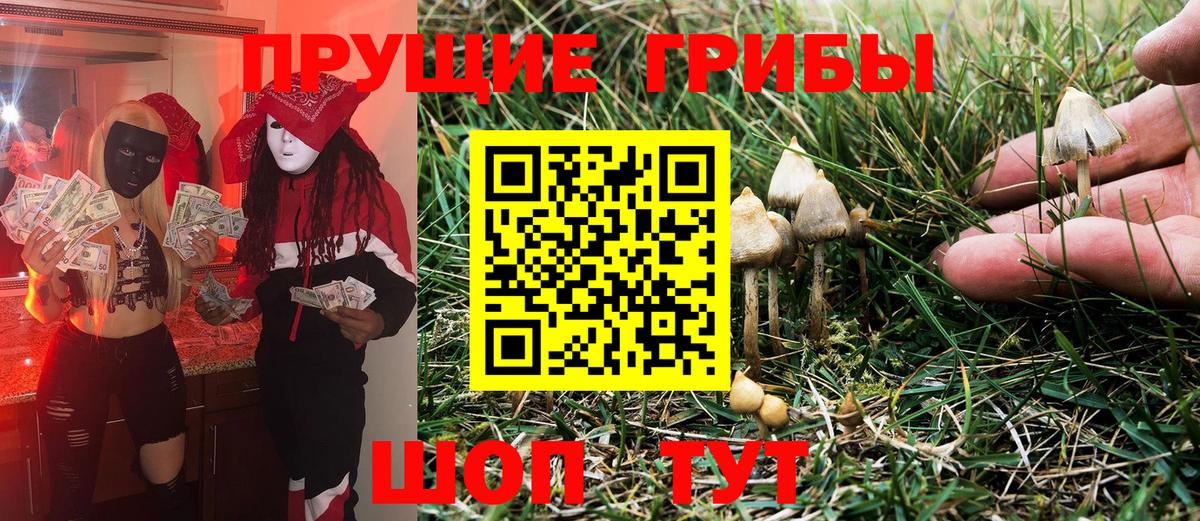 Псилоцибиновые грибы MAGIC MUSHROOMS  Галлюциногенные грибы мицелий  Качканар 